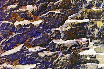 AP 89B1